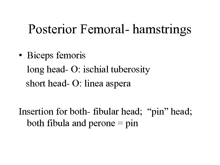 Posterior Femoral hamstrings • Biceps femoris long head O: ischial tuberosity short head O: