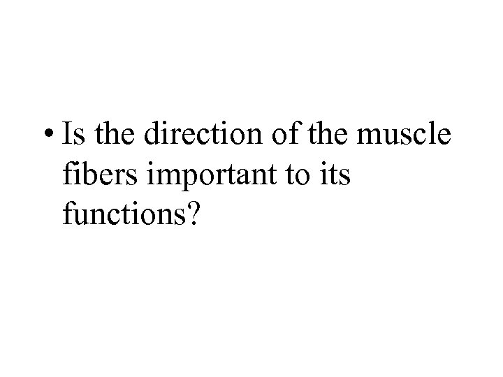  • Is the direction of the muscle fibers important to its functions? 