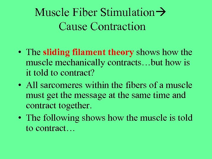 Muscle Fiber Stimulation Cause Contraction • The sliding filament theory shows how the muscle