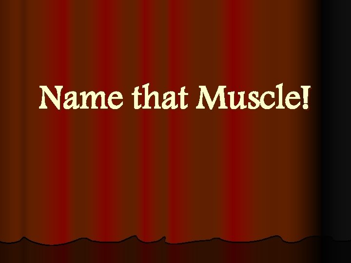 Name that Muscle! 