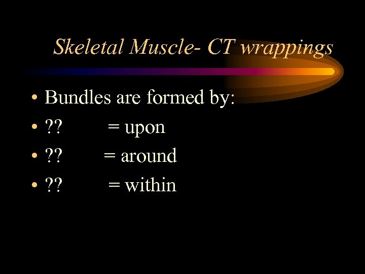 Skeletal Muscle- CT wrappings • • Bundles are formed by: ? ? = upon