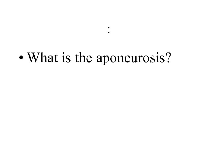 : • What is the aponeurosis? 