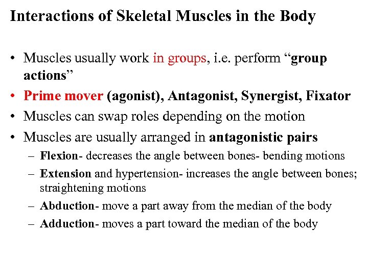 Interactions of Skeletal Muscles in the Body • Muscles usually work in groups, i.