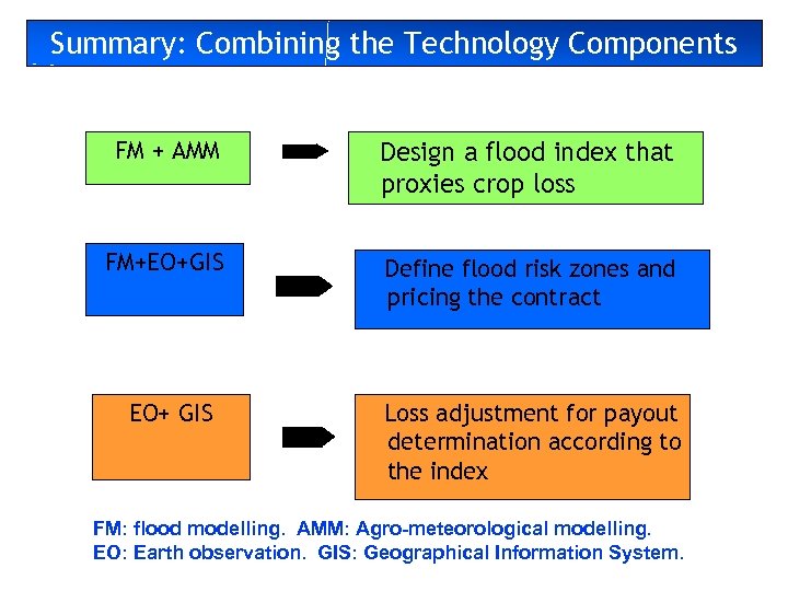 Summary: Combining the Technology Components FM + AMM Design a flood index that proxies
