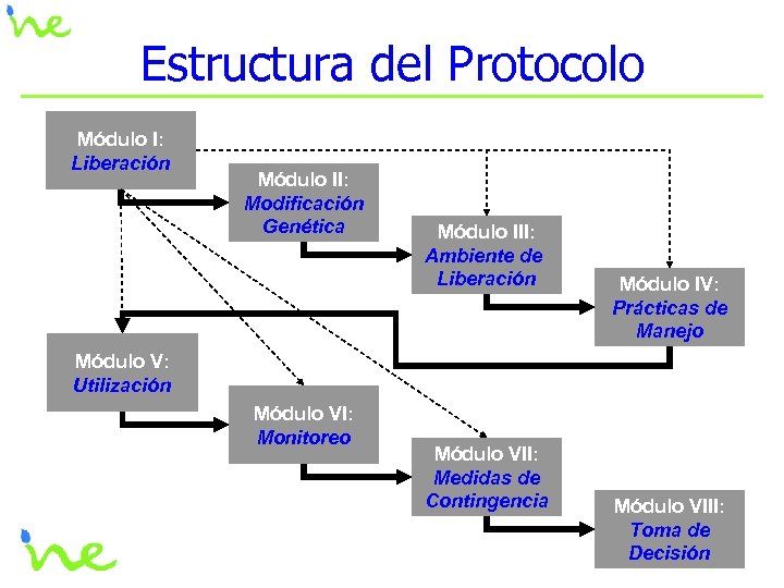 Estructura del Protocolo Módulo I: Liberación Módulo II: Modificación Genética Módulo III: Ambiente de