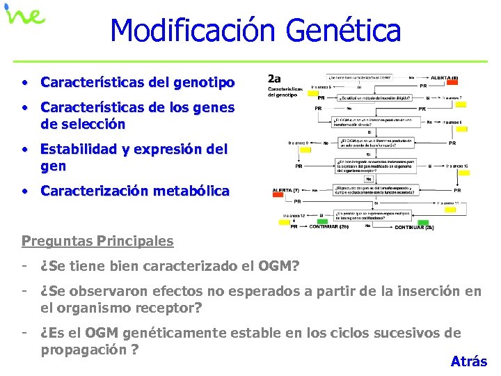 Modificación Genética • Características del genotipo • Características de los genes de selección •