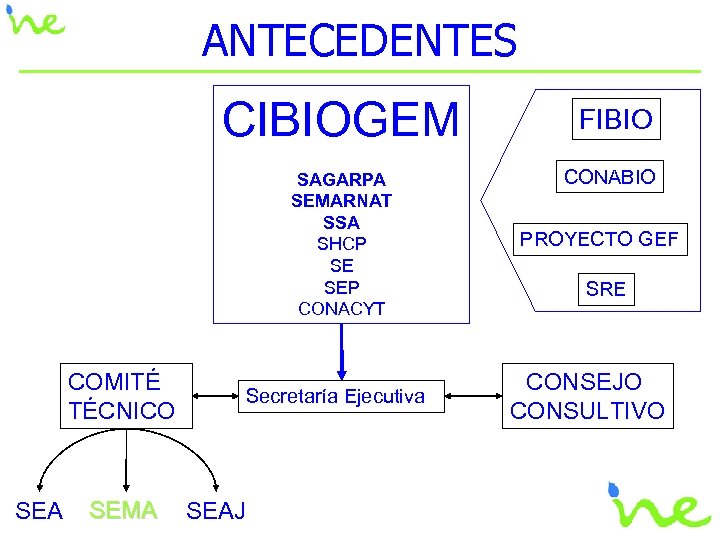 ANTECEDENTES CIBIOGEM SAGARPA SEMARNAT SSA SHCP SE SEP CONACYT COMITÉ TÉCNICO SEA SEMA Secretaría