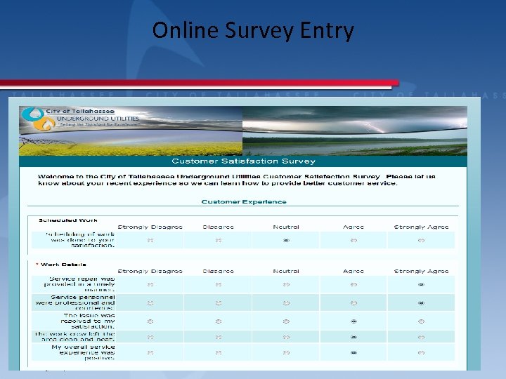 Online Survey Entry 