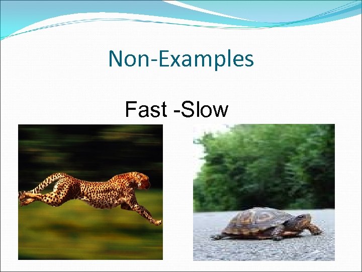 Non-Examples Fast -Slow 