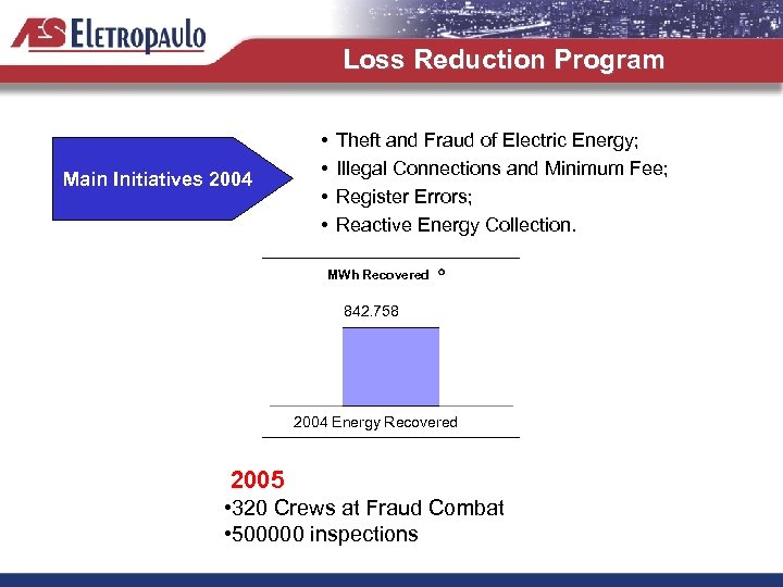 Loss Reduction Program Main Initiatives 2004 • • Theft and Fraud of Electric Energy;