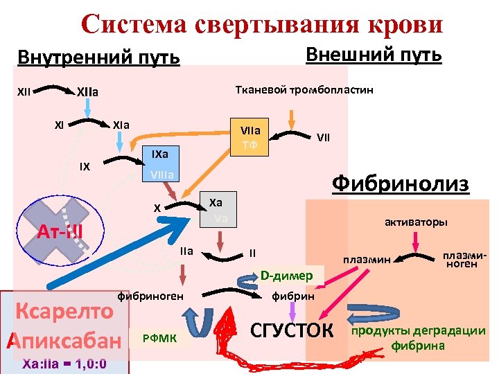 Система свертывания крови Внешний путь Внутренний путь Тканевой тромбопластин XIIa XII XI XIa VIIa