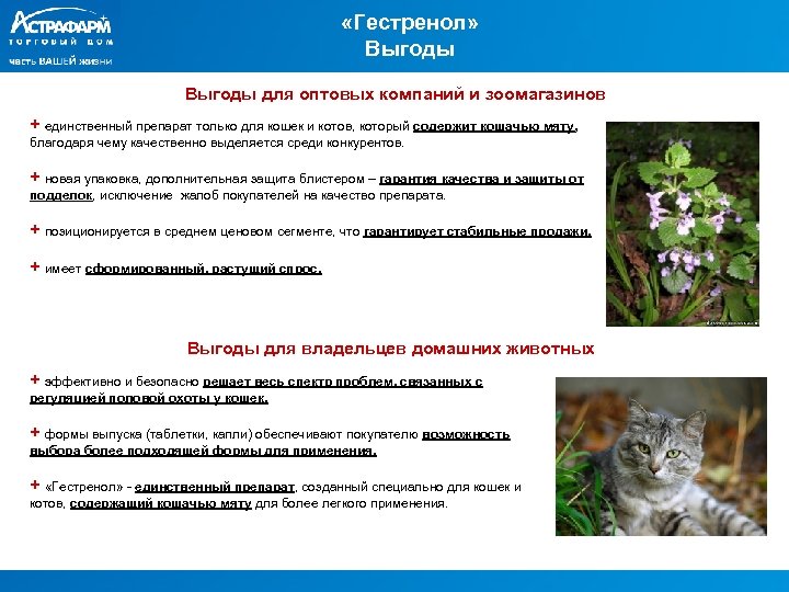  «Гестренол» Выгоды для оптовых компаний и зоомагазинов + единственный препарат только для кошек