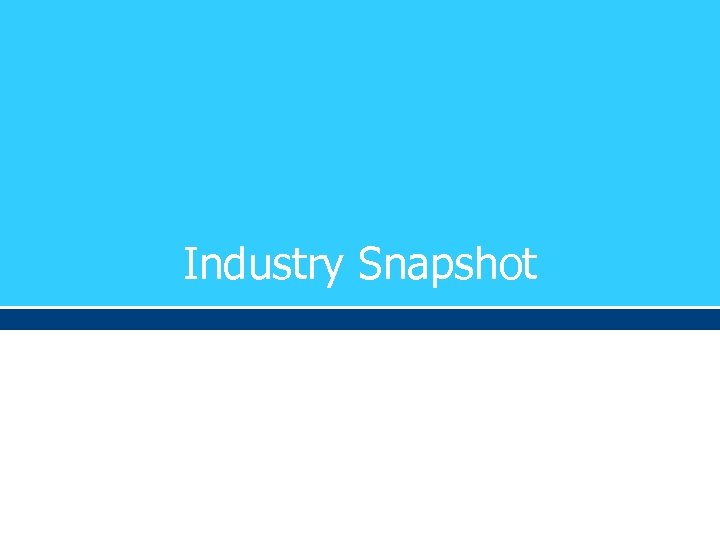 Industry Snapshot 