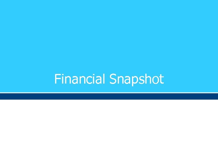 Financial Snapshot 