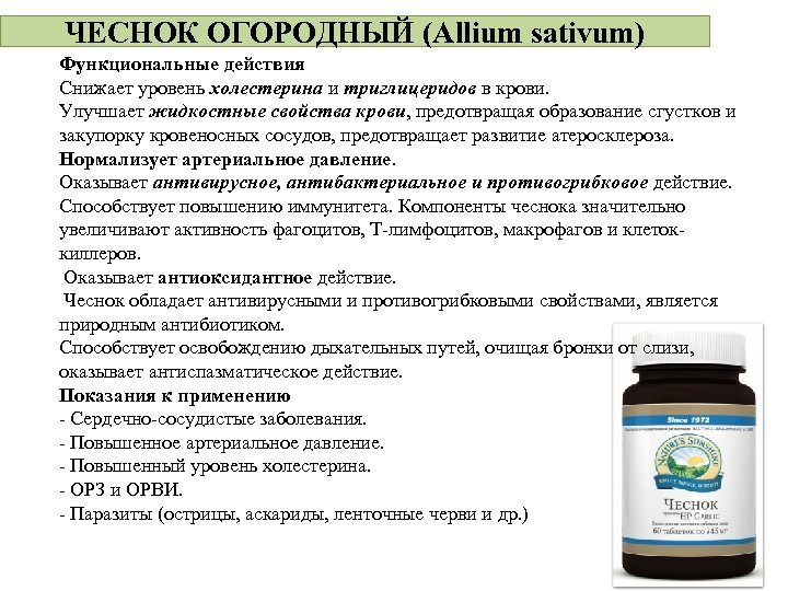 ЧЕСНОК ОГОРОДНЫЙ (Allium sativum) Функциональные действия Снижает уровень холестерина и триглицеридов в крови. Улучшает