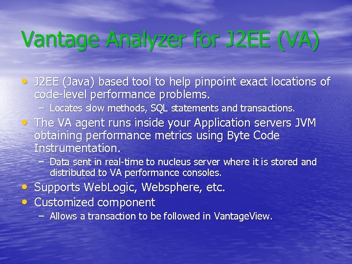 Vantage Analyzer for J 2 EE (VA) • J 2 EE (Java) based tool