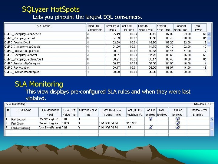 SQLyzer Hot. Spots Lets you pinpoint the largest SQL consumers. SLA Monitoring This view