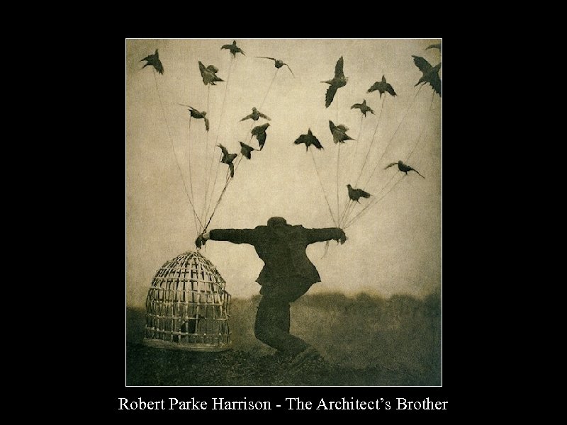Robert Parke Harrison - The Architect’s Brother 