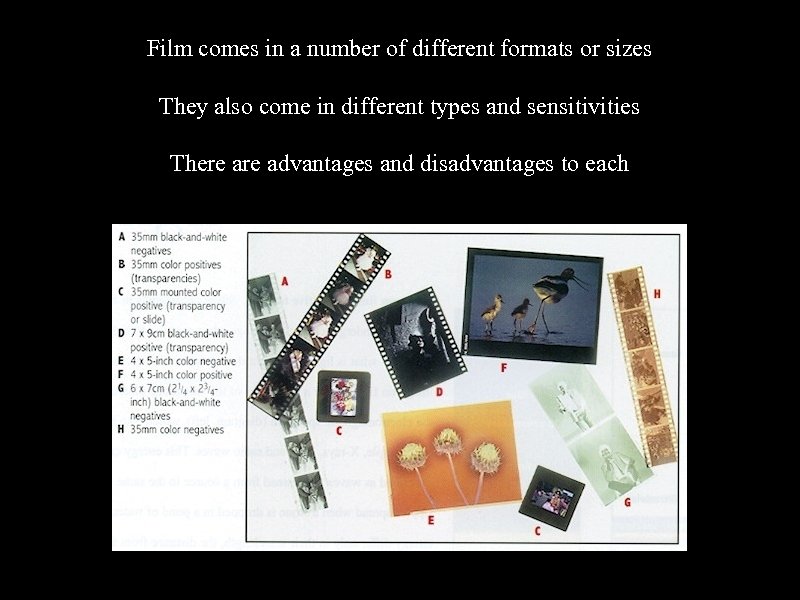 Film comes in a number of different formats or sizes They also come in