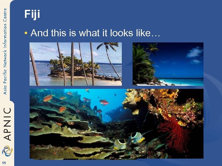 Fiji • And this is what it looks like… 15 