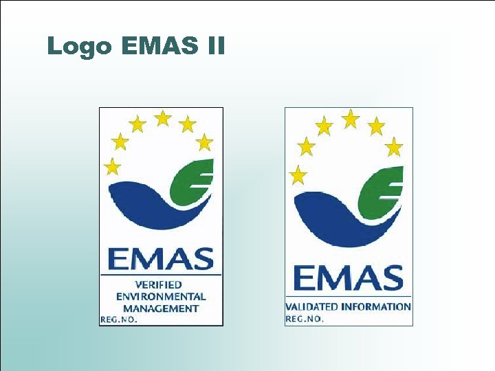 Logo EMAS II 