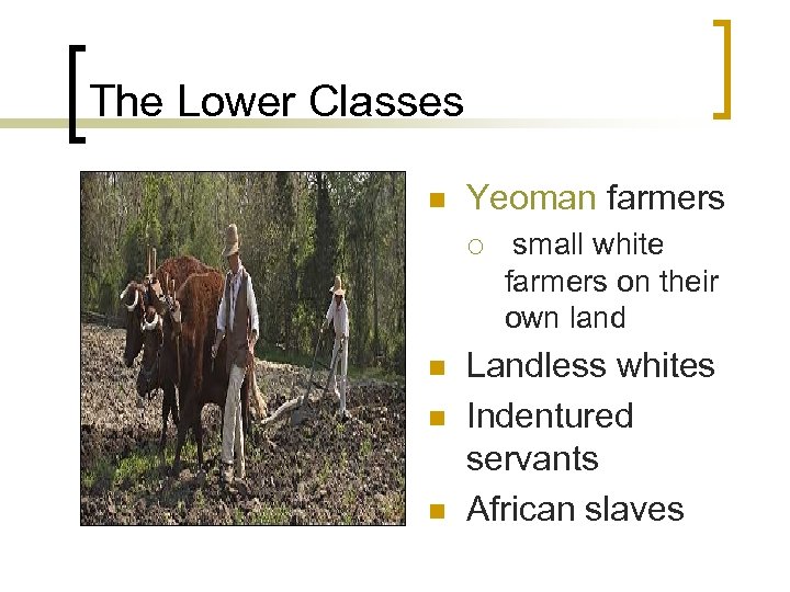 The Lower Classes n Yeoman farmers ¡ n n n small white farmers on