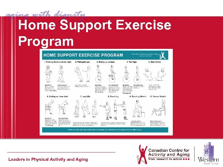 Home Support Exercise Program Leaders in Physical Activity and Aging 