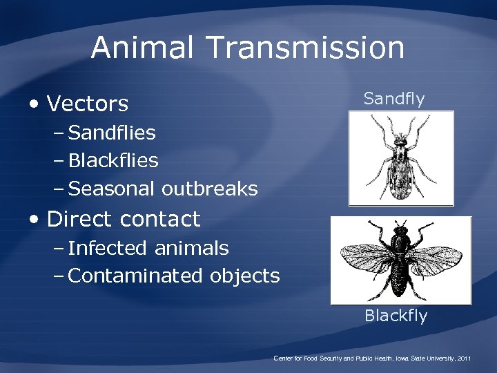Animal Transmission Sandfly • Vectors – Sandflies – Blackflies – Seasonal outbreaks • Direct