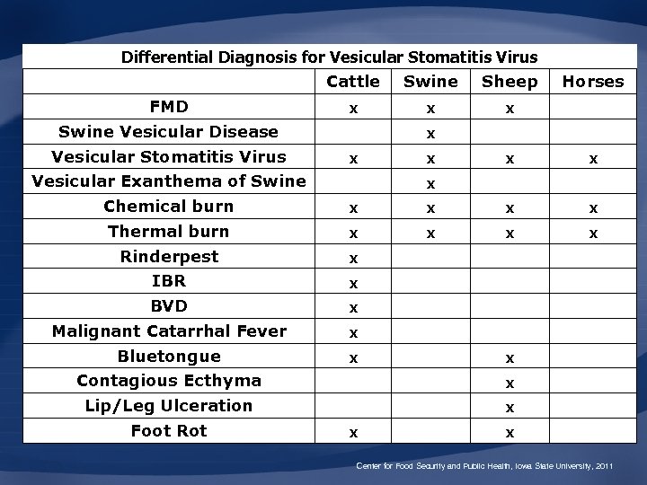 Differential Diagnosis for Vesicular Stomatitis Virus Cattle Swine Sheep Horses FMD X X X