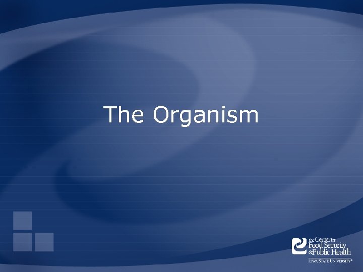 The Organism 