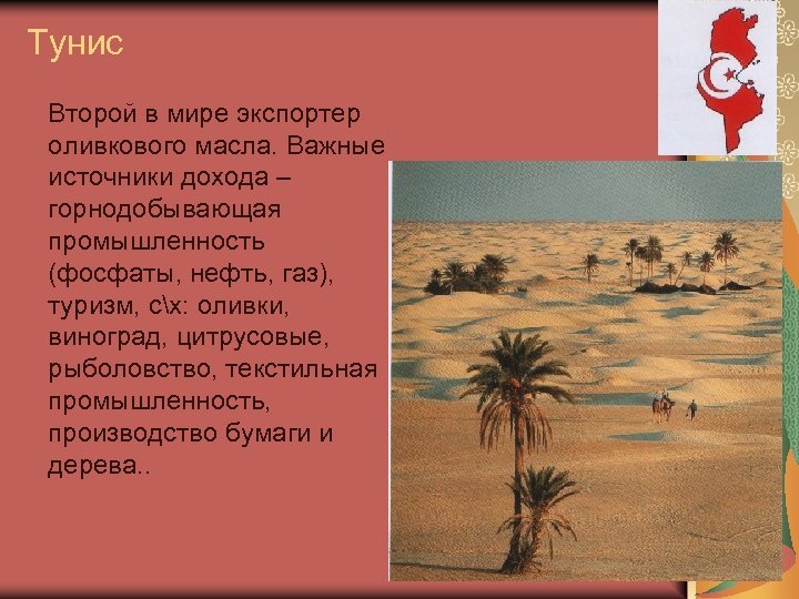 Тунис Второй в мире экспортер оливкового масла. Важные источники дохода – горнодобывающая промышленность (фосфаты,