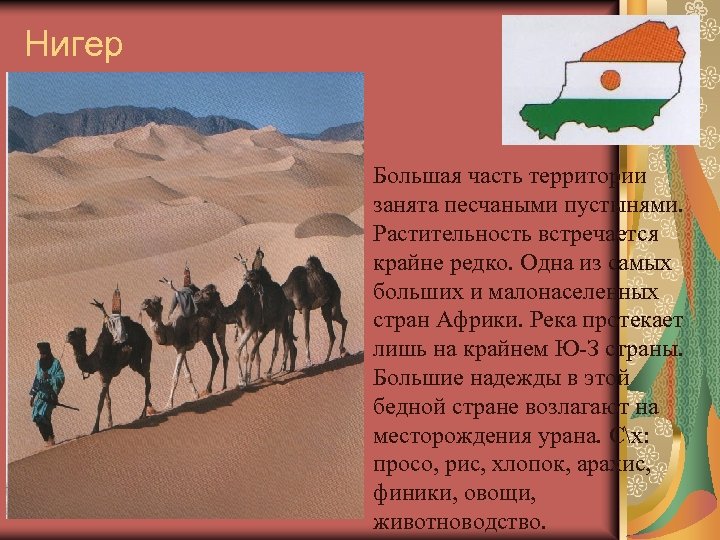 Нигер Большая часть территории занята песчаными пустынями. Растительность встречается крайне редко. Одна из самых