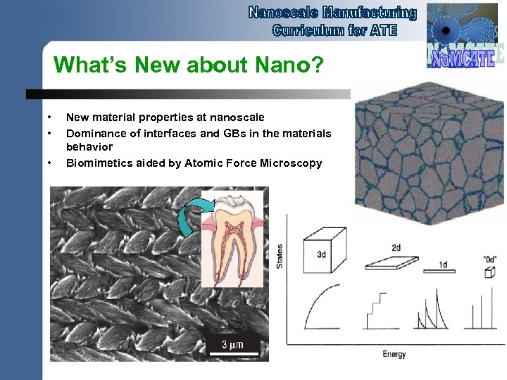 What’s New about Nano? • • • New material properties at nanoscale Dominance of