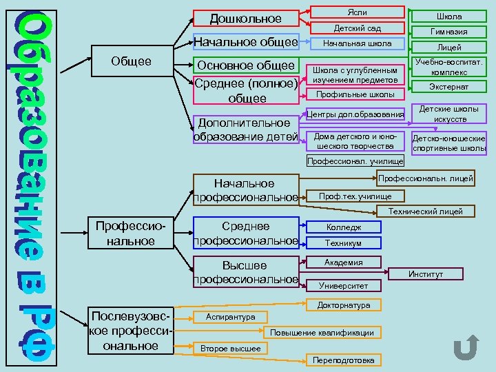 Дошкольное Начальное общее Основное общее Среднее (полное) общее Дополнительное образование детей Ясли Школа Детский