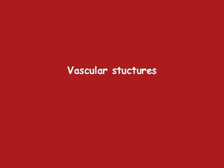 Vascular stuctures 