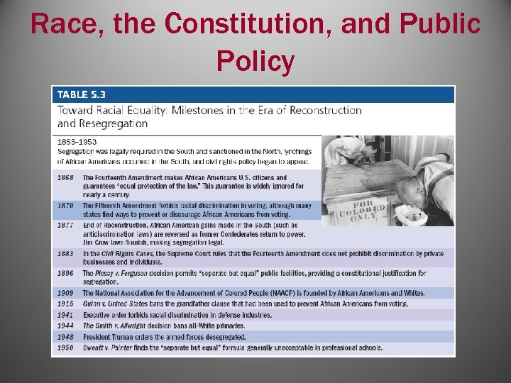 Race, the Constitution, and Public Policy 