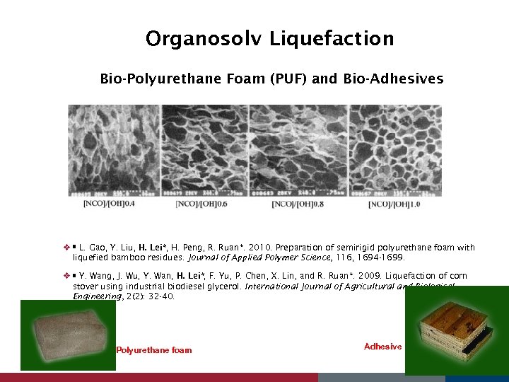 Organosolv Liquefaction Bio-Polyurethane Foam (PUF) and Bio-Adhesives v L. Gao, Y. Liu, H. Lei*,