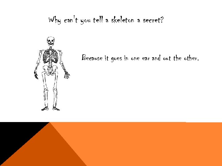 Why can't you tell a skeleton a secret? Because it goes in one ear