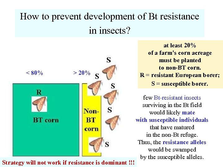 How to prevent development of Bt resistance in insects? < 80% > 20% Strategy