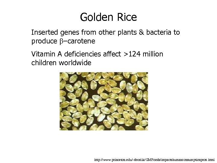 Golden Rice Inserted genes from other plants & bacteria to produce –carotene Vitamin A