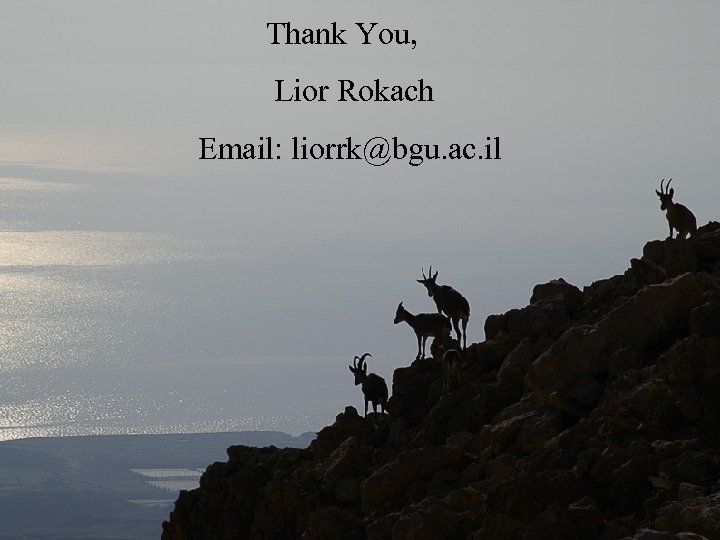 Thank You, Lior Rokach Email: liorrk@bgu. ac. il 