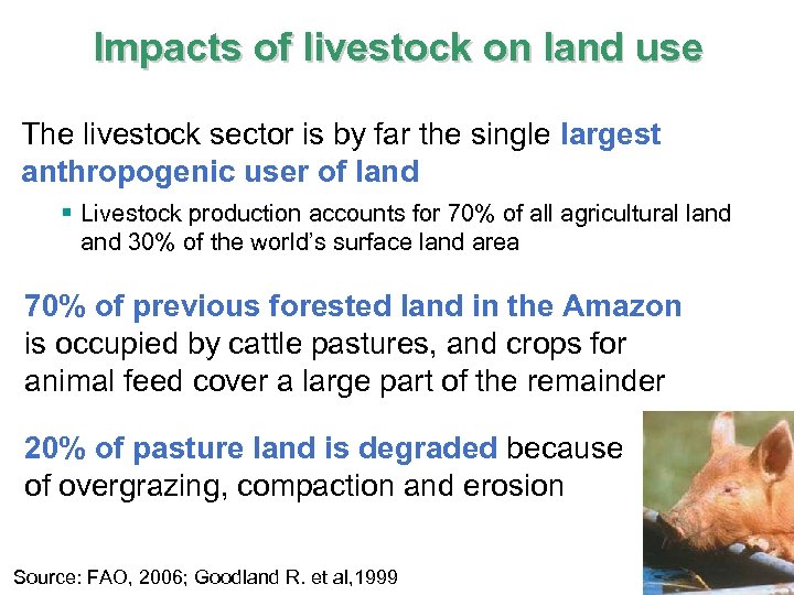 Impacts of livestock on land use The livestock sector is by far the single