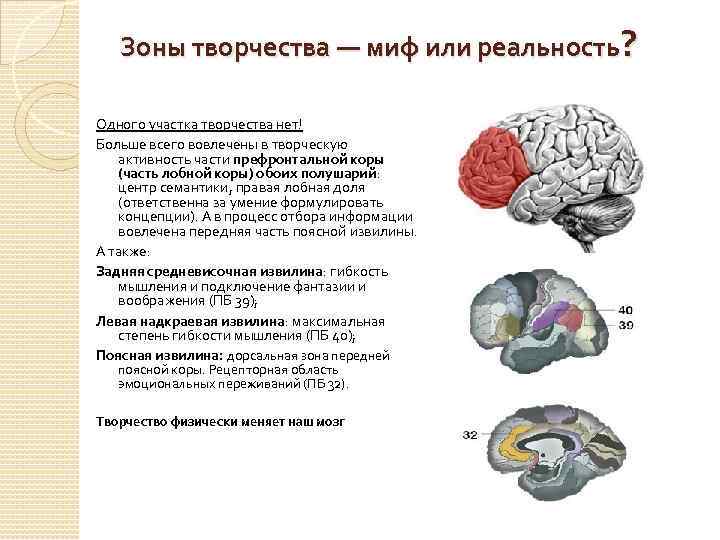 Зоны творчества — миф или реальность? Одного участка творчества нет! Больше всего вовлечены в