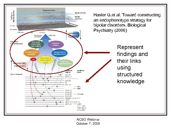 Hasler G, et al. Toward constructing an endophenotype strategy for bipolar disorders. Biological Psychiatry
