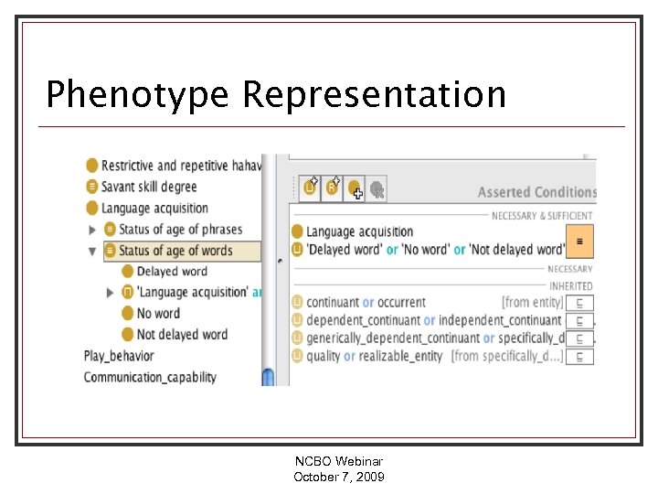Phenotype Representation Figure 2. The representation of the Status of age of words phentotype