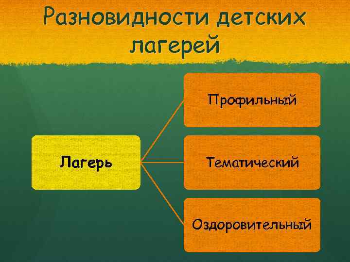 Разновидности детских лагерей Профильный Лагерь Тематический Оздоровительный 