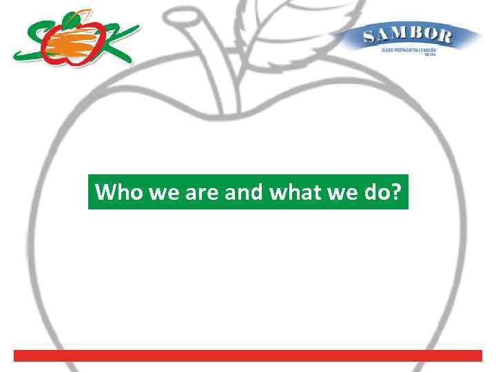 Who we are and what we do? 