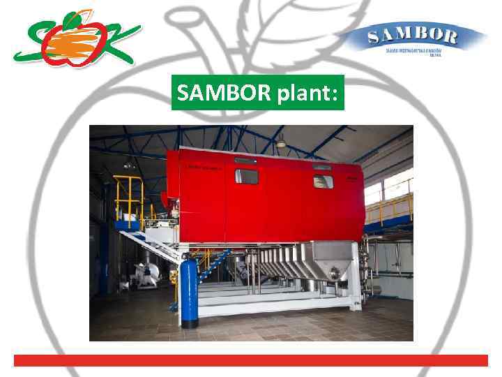 SAMBOR plant: 