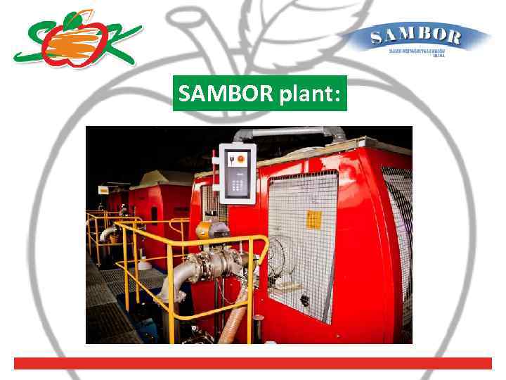 SAMBOR plant: 