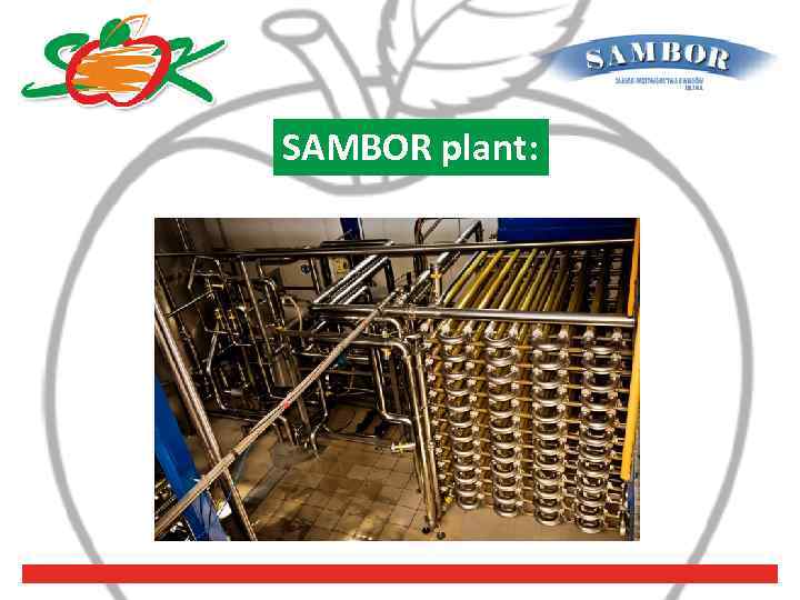 SAMBOR plant: 